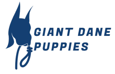 giantdanepuppies.com